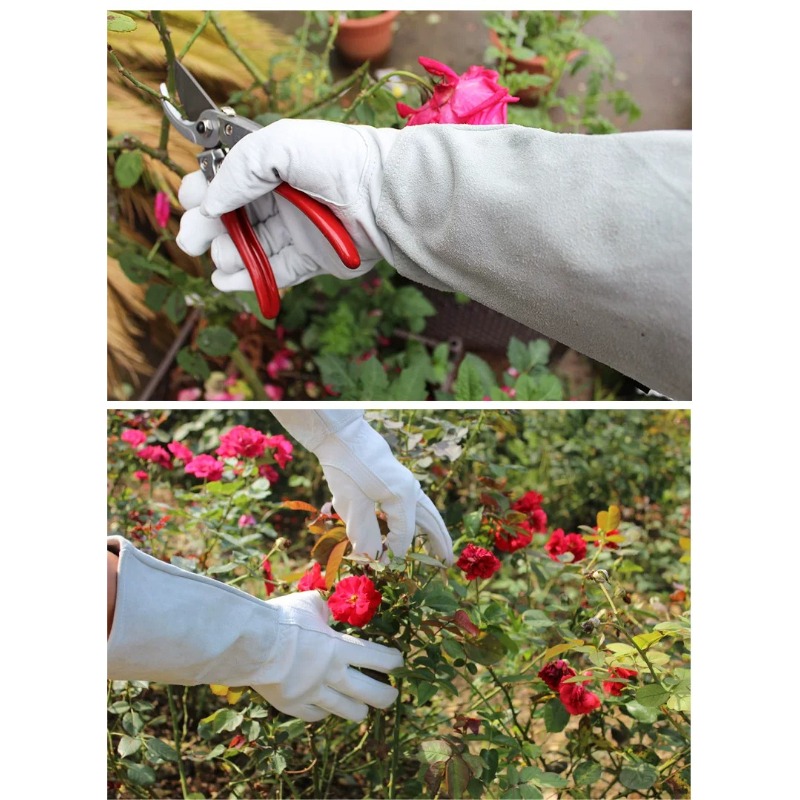 ถุงมือทำสวนกันหนาม กันน้ำ สำหร - Gardening Glove Waterproof บทวิจารณ์และราคา