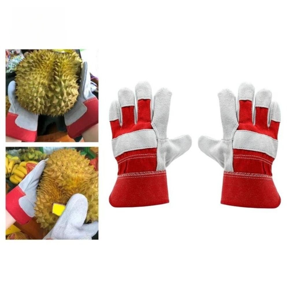 ถุงมือทำสวนหนังวัว ถุงมือเชื่อ - Cut Resistant Glove บทวิจารณ์และราคา